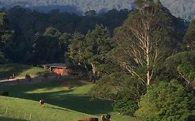 Amaroo Valley Springs